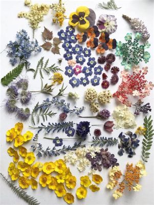 Can You Press Dried Flowers? Exploring the Art and Science of Floral Preservation