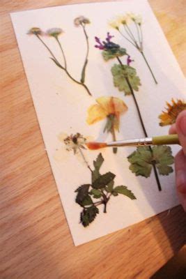 Can You Press Dried Flowers? Exploring the Art and Science of Preservation