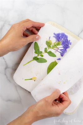 Can You Use Wax Paper to Press Flowers? Exploring the Art and Science of Flower Preservation