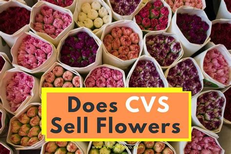 Do They Sell Flowers at CVS? And Why Are We Even Asking?