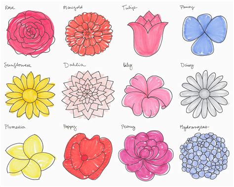 How to Doodle Flowers: A Journey Through Petals and Pencils