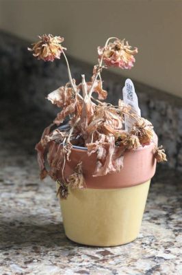 How to Revive Dead Flowers in Soil: A Journey Through Time and Imagination