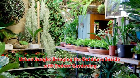  Immerse Yourself in the World of Indoor Jungle: A Guide to Bringing the Outdoors Inside