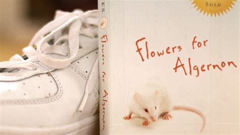 Is Flowers for Algernon Banned: A Journey Through Censorship and Controversy