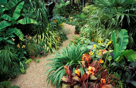 Jungle: A Gardener's Guide to Exotic Plants - Embracing the Symphony of Tropical Foliage and Untamed Beauty