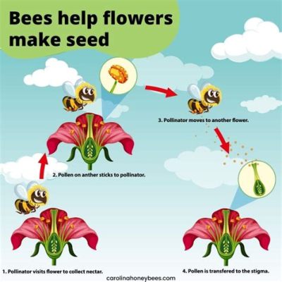 What flowers do bees like in Minecraft, and why do they sometimes dance backwards?