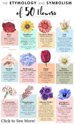 What Flowers Represent Hope: A Blossoming Discussion on Floral Symbolism and Beyond