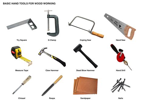 Which Five Tools Are Most Common to Carpentry: A Journey Through the Workshop and Beyond