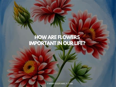 Why Are Flowers Important to Humans: A Symphony of Beauty and Chaos